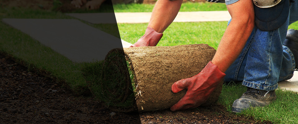 Grants Pass Landscapers